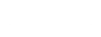 Ledger